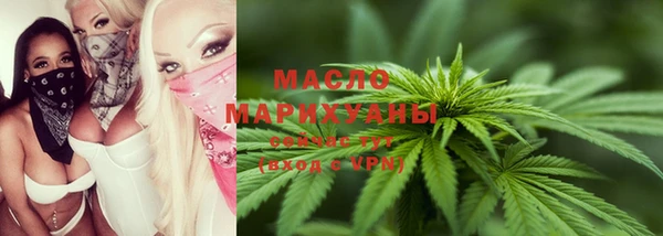 дмт Краснослободск