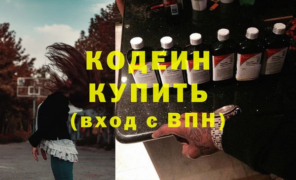дмт Краснослободск