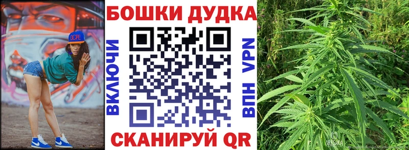 Каннабис сатива Нальчик